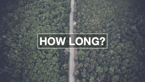 How Long? (2017)
