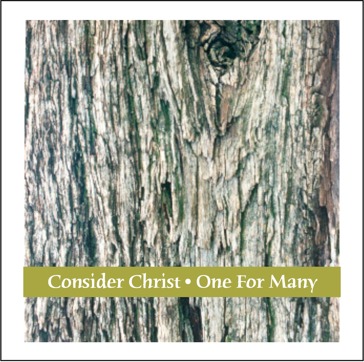 Consider Christ | One For Many (Song Book)