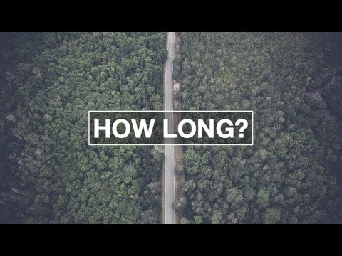 How Long? (2017)